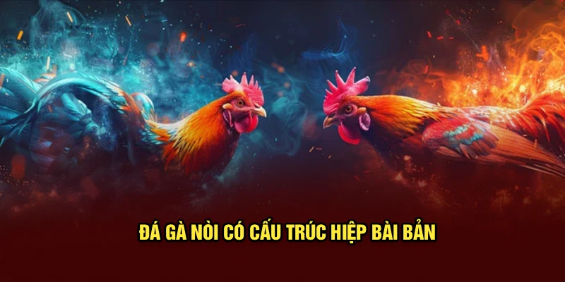 Đá gà nòi có cấu trúc hiệp bài bản