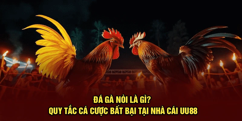 Đá Gà Nòi Là Gì? Quy Tắc Cá Cược Bất Bại Tại Nhà Cái UU88