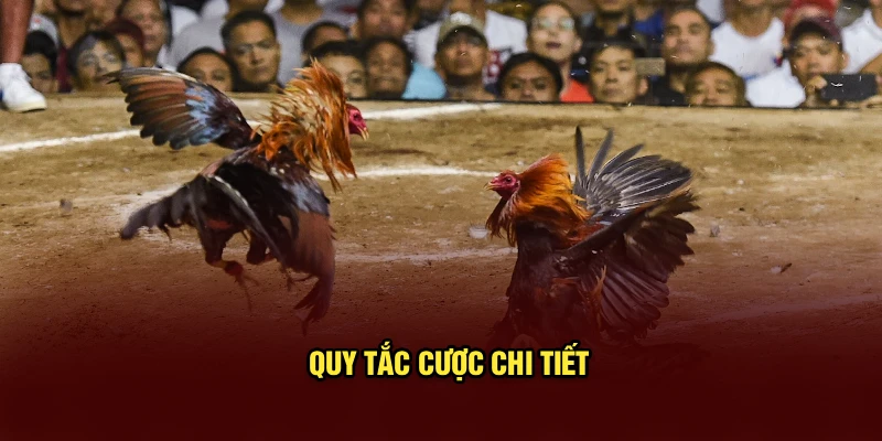 Quy tắc cược chi tiết