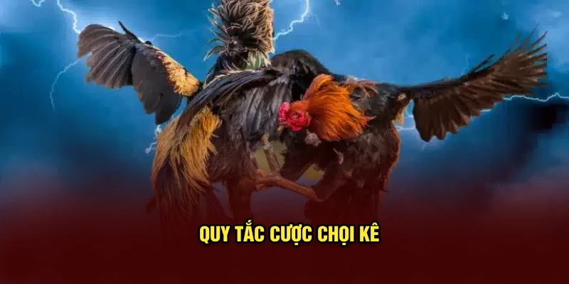 Quy tắc cược chọi kê Thomo