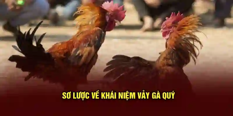 Sơ lược về khái niệm vảy gà quý