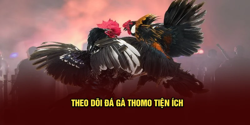 Theo dõi đá gà Thomo tiện ích